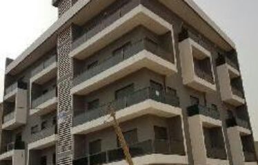 Penthouse Apartment For Rent In Ngor