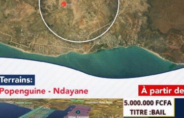 TERRAIN A VENDRE A POPENGUINE PRES DU PORT DE NDAYANE