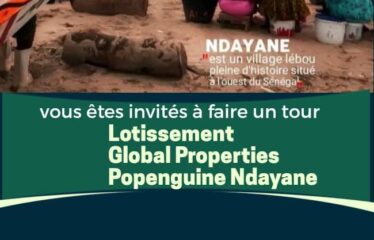 TERRAIN A VENDRE A POPENGUINE PRES DU PORT DE NDAYANE