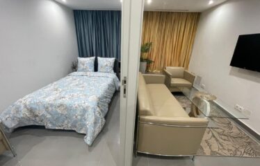 Furnished studio for rent at POINT E