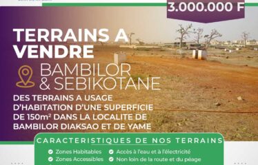 DES TERRAINS DE 150 m2 A VENDRE – BAMBILOR ET SEBIKOTANE