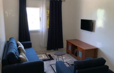 Furnished studio