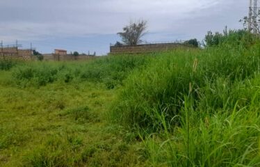 Land Malicounda for sale