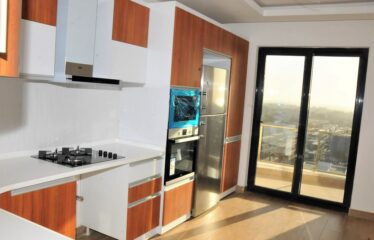 Beautiful high-end F4 apartment for rent in Point E