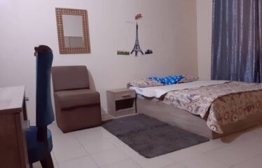 Furnished studio Maristes