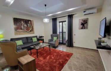 Beautiful furnished f3 apartment for rent in Le Virage