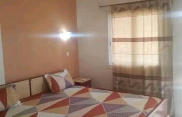 Furnished studio f2 for rent in ngaparou