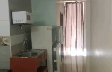 Furnished studio f2 for rent in ngaparou