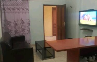 Furnished studio f2 for rent in ngaparou