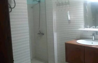 Furnished studio f2 for rent in ngaparou