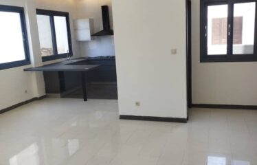 1 bedroom apartments for rent sallon