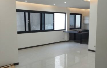 1 bedroom apartments for rent sallon