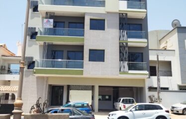 1 bedroom apartments for rent sallon