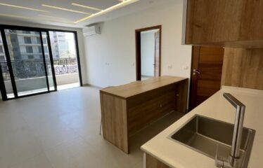 Luxury studio f2 for students for rent in Point E