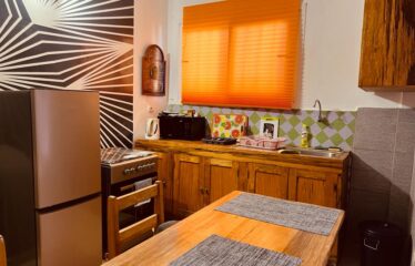 Lovely furnished f2 apartment for rent in Le Virage