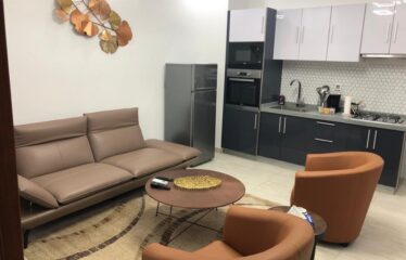 Furnished f2 apartment for rent in Point E