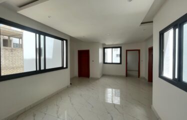 F4 APARTMENT FOR RENT NGOR ALMADIES