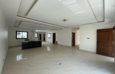 F4 APARTMENT FOR RENT NGOR ALMADIES